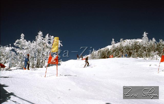 c0000448102.jpg