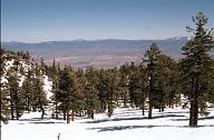 c0000450169