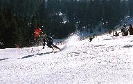 c0000451