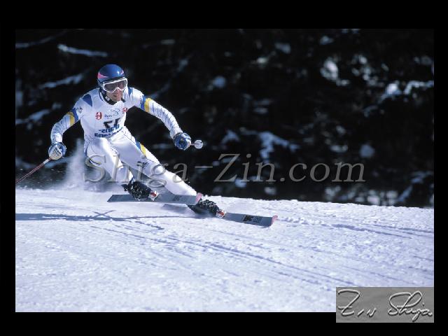 zin049-IngemarStenmark.jpg