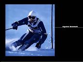 zin045-IngemarStenmark