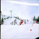 r0000020024