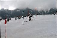 r0000025020