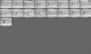 b0060102