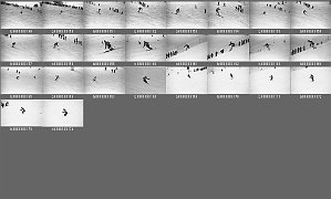 b0030302