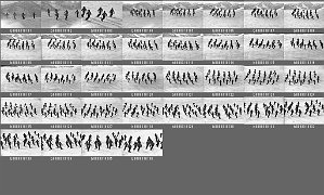 b0031801