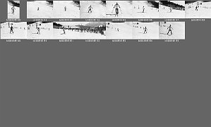 b0054202
