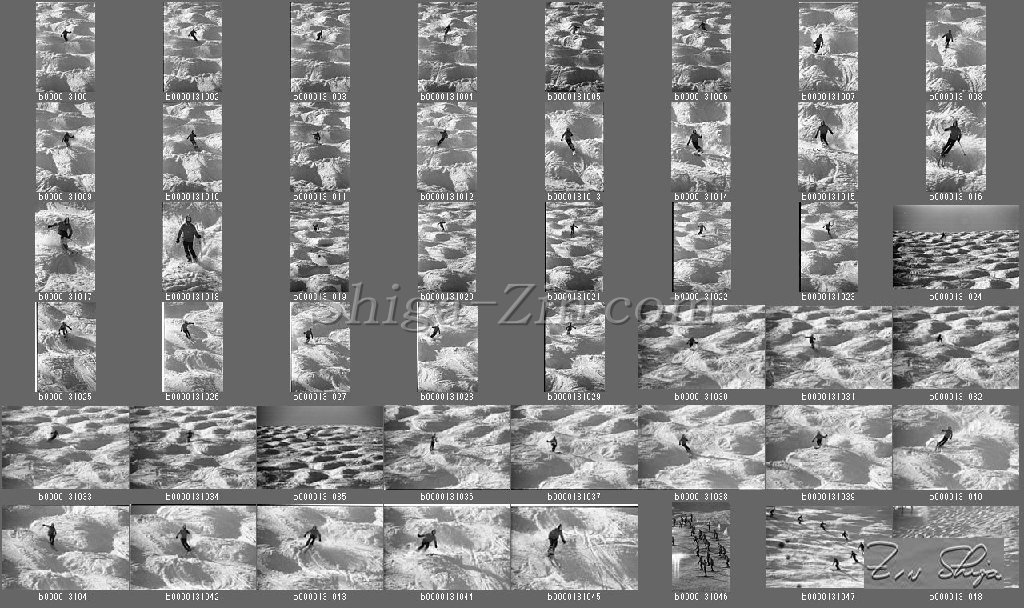b0013101.jpg