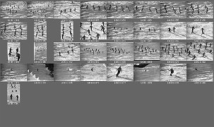 b0013102