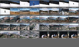c0042502