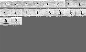 b0027702