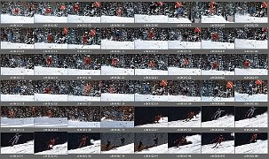 c0038201
