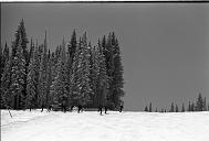 c0000059014