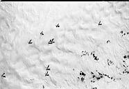 b0000080041