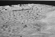 b0000135056