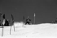 b0000137056