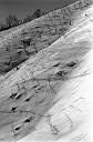 b0000162006