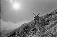 b0000165074
