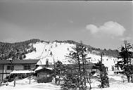 b0000166007