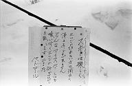 b0000166026