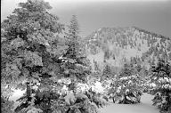 b0000166050