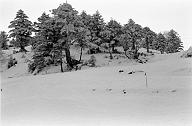 b0000167004