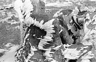 b0000168038