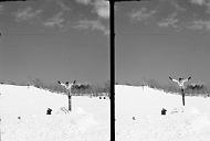 b0000179003
