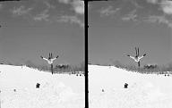 b0000179004
