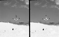 b0000179005
