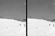 b0000179019