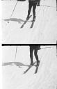 b0000185009