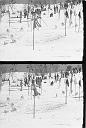 b0000190054