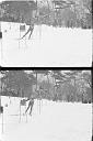 b0000196019