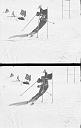 b0000196030