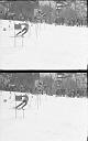 b0000196058
