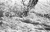 b0000214458