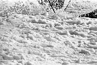 b0000218223