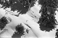 b0000232103