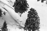 b0000232106