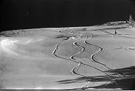 b0000232201