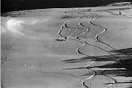 b0000232207
