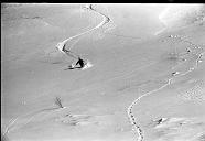 b0000232230