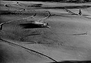 b0000233151