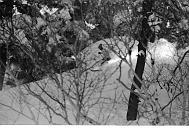 b0000233158