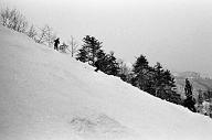 b0000241156