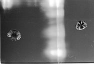 b0000269156