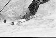 b0000339126