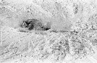 b0000357115