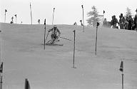 b0000402117